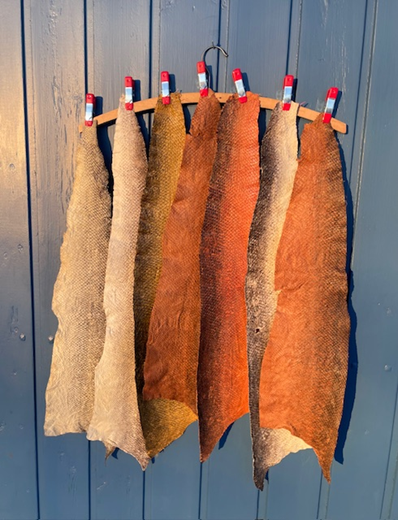 Kurs naturlig garvning av fiskskinn